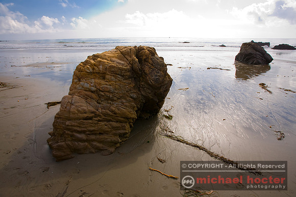 Moonstone Beach #89