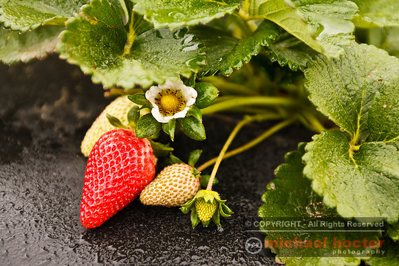Strawberry