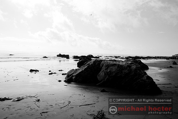 Moonstone Beach #91