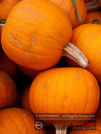Pumpkins