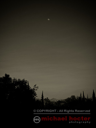Afternoon Moon
