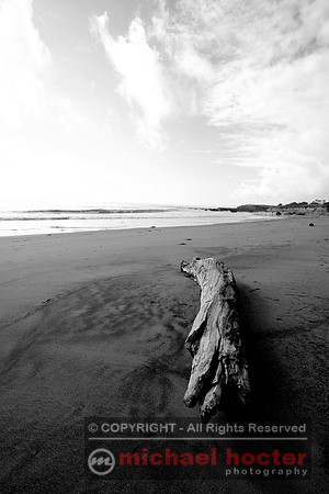 Moonstone Beach #109