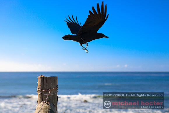 Fly Away