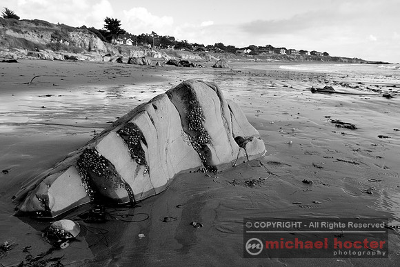 Moonstone Beach #83
