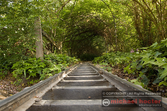 Descanso Gardens Train Tracks